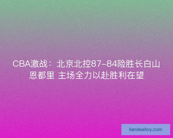 CBA激战：北京北控87-84险胜长白山恩都里 主场全力以赴胜利在望